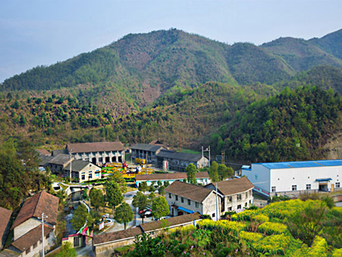 热烈祝贺奇异果平台-奇异果(中国)正式上线！